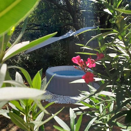 Suite Avec Jardin Entre Aix En Provence, Luberon Et Verdon Peyrolles-en-Provence Exterior photo