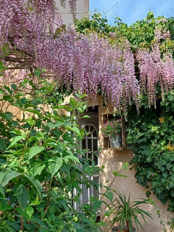 Suite Avec Jardin Entre Aix En Provence, Luberon Et Verdon Peyrolles-en-Provence Exterior photo